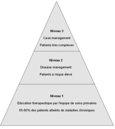 Figure 1 : La pyramide des soins 