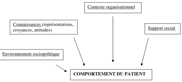 Figure 6: Les éléments d'inflence du comportement du patient 