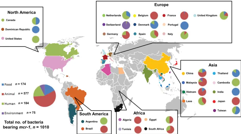 Fig. 2. Global distribution of plasmid-mediated mcr-1 colistin-resistant strains isolated from environments, foods, animals and humans (November 2015 to April 2016).