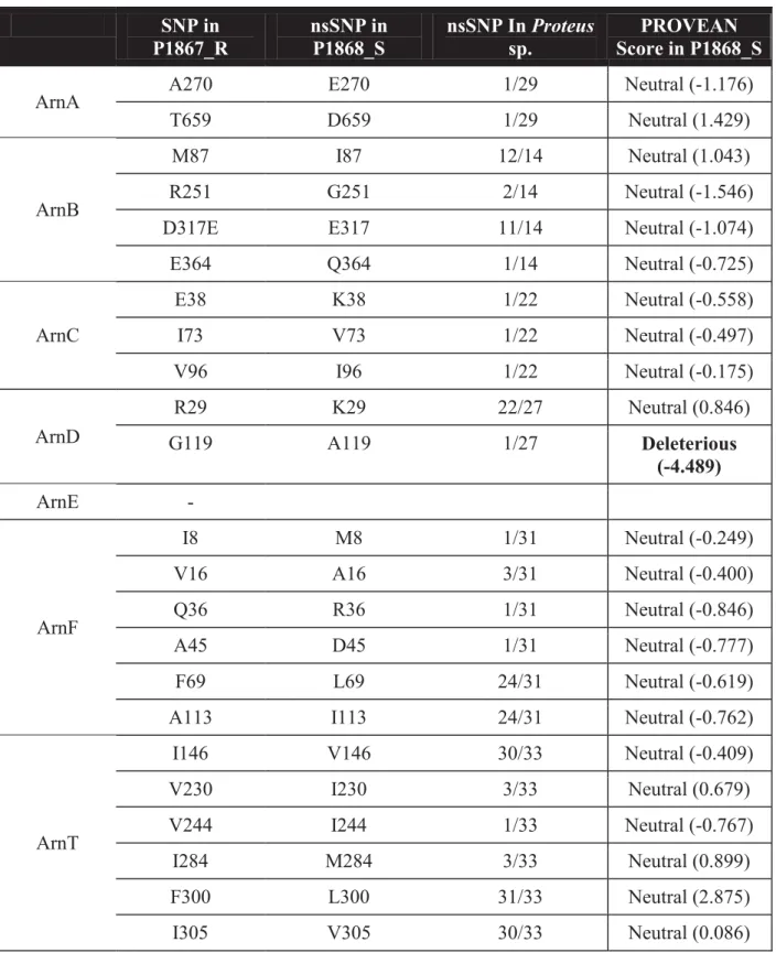 Table 3. List of nsSNPs of P1868_S, frequence in proteins of Proteus found in Pubmed and  PROVEAN score for Arn operon