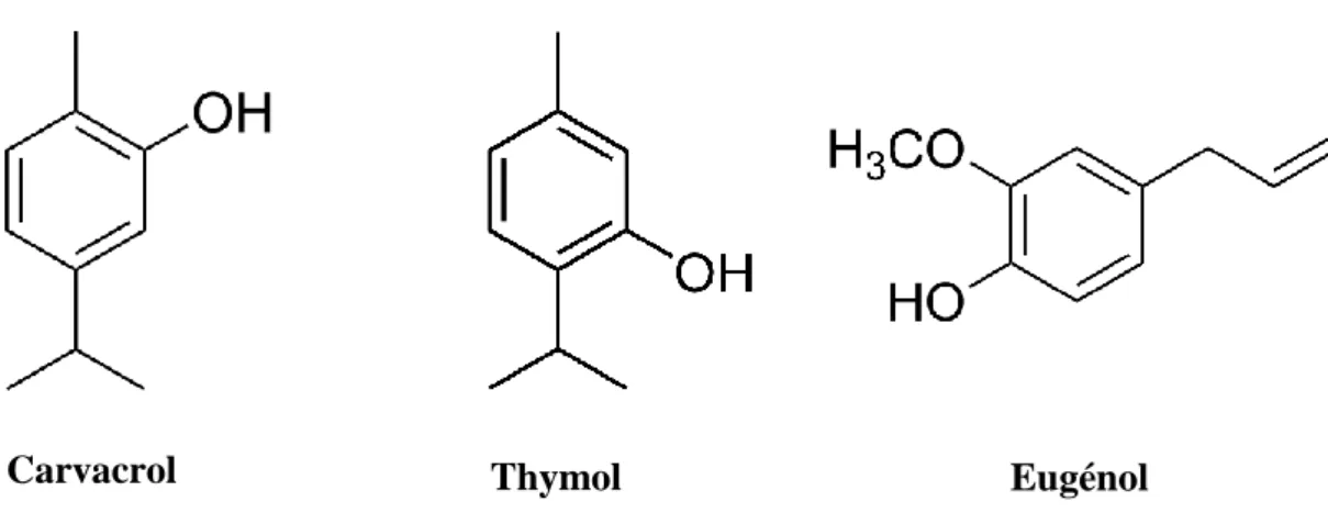 Figure 3 – Représentation des trois principaux phénols 