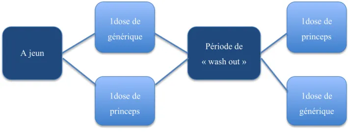Figure 2 : Schéma des essaies de bioéquivalence pour les médicaments génériques (9). 