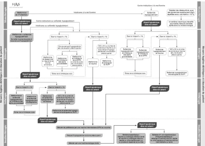 Figure 4 : Algorithme de traitement du diabète de type 2. (Haute Autorité de Santé, 2013) 