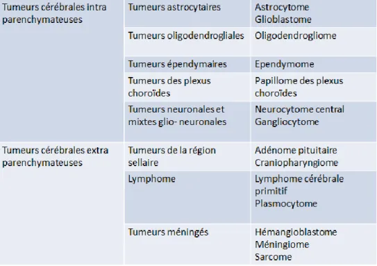 Tableau  3 :  Classification  histologique  simplifiée  des  principales  tumeurs  intracrâniennes  primitives  à  l’exclusion  des  tumeurs  embryonnaire  d’après  The  2016  World  Health  Organization Classification of Tumors of the Central Nervous Syst