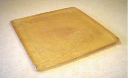 Figure 23 : Photo d’un coussin de prévention en gel nu de 2,5 cm d’épaisseur (classe IB)
