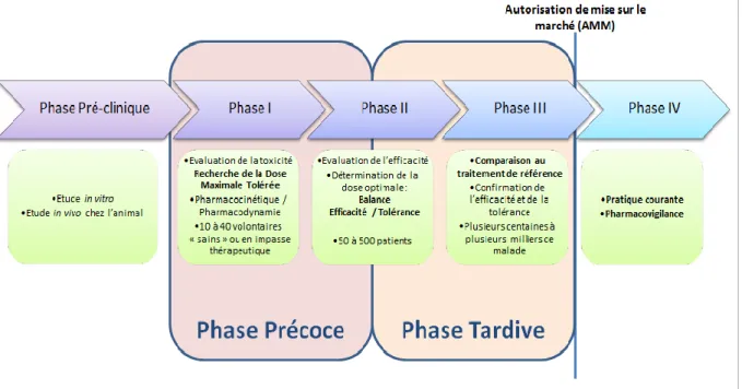 Figure 2: Evaluation d'un médicament : Les différentes phases d’essai clinique 