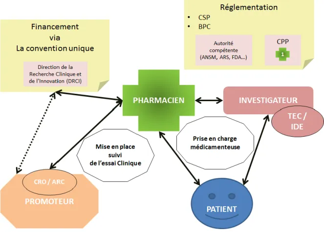 Figure 3: Place et interactions du pharmacien avec les acteurs de la recherche  clinique 