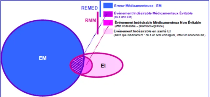 Figure 1. Domaine d'investigation de la REMED et la RMM. 