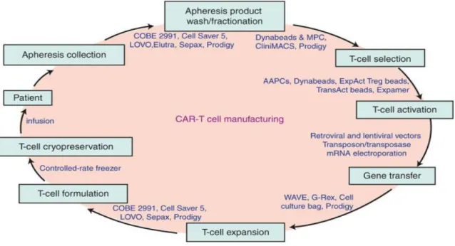 Figure 6. Les principales étapes de fabrication d’un CAR T-cell et exemples de technologies  disponibles (15)  