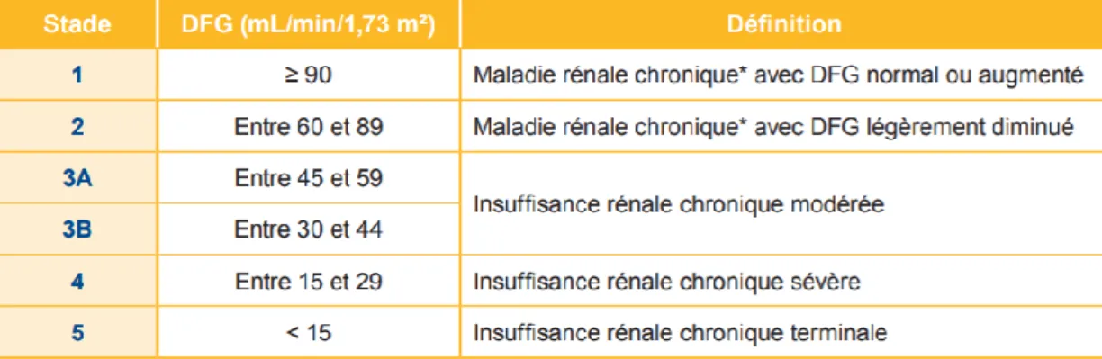 Figure 9 - Classification des stades d’évolution de la maladie rénale chronique - https://www.has-sante.fr 