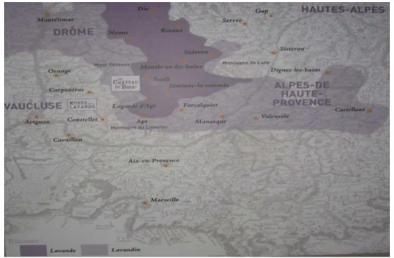 Figure 14 : Territoire de la Lavande fine.  [13] 