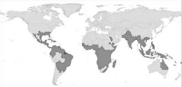 Figure 8. Distribution mondiale d’Aedes aegypti (2006) [38] 