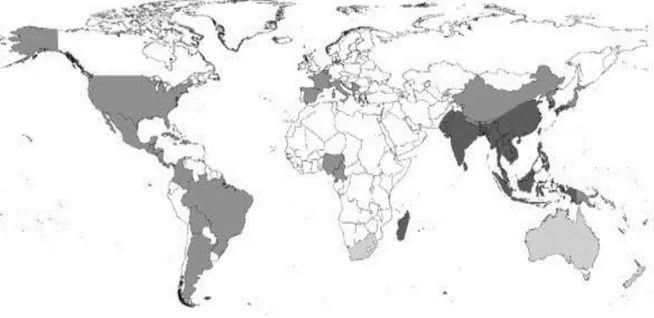 Figure 12. Distribution d’Ae. albopictus avant les années 1980 (gris foncé) et ces 30  dernières années (gris clair) ; Pays ayant intercepté Ae