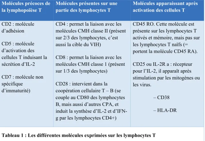 Tableau 1 : Les différentes molécules exprimées sur les lymphocytes T 