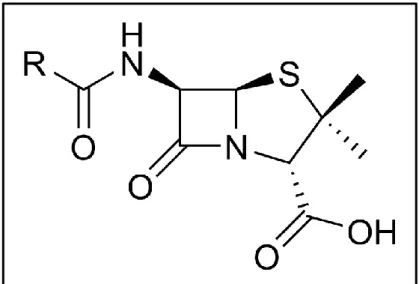 Figure 6 : Formule général d'une pénicilline. (Pénicilline G : R= Φ-CH2) 