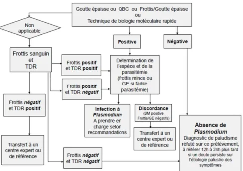 Figure 10. Logigramme du diagnostic biologique du paludisme (d’après la SPILF (57)) 