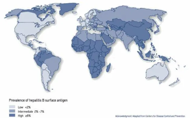 Figure 3 : Prévalence globale de l’hépatite B dans le monde (Mennecier D 2010).  