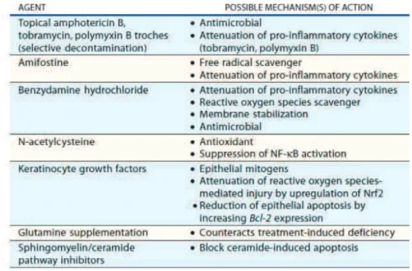 Tableau 2 : Exemples de nouvelles thérapies ciblées sur le processus de développement  de la mucite (d’ après SONIS ST