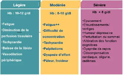 Figure 34 : Classification des anémies [116] 