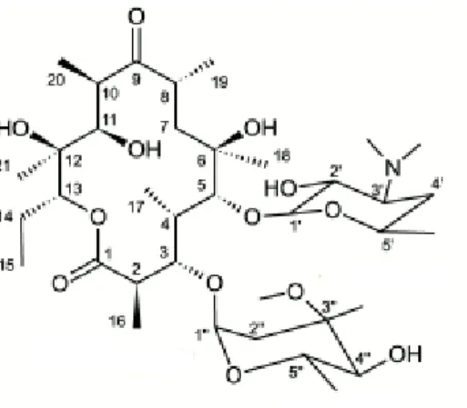 Figure 4 Structure de base des cyclines (Sciencedirect.com, cycline antibiotiques, 2019) 
