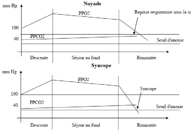 Figure 2 : Evolution des pressions partielles en oxygène et en dioxyde de carbone en fonction des différentes étapes durant l’apnée