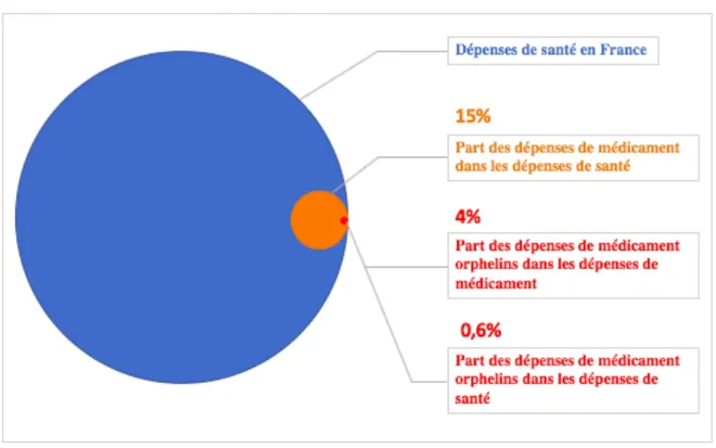 Figure 11 : L’impact budgétaire du médicament orphelin dans les dépenses de santé en France  [36] 