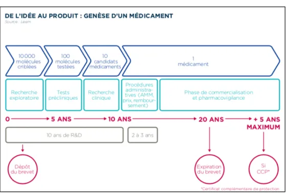 Figure 8 : Cycle de vie du médicament 