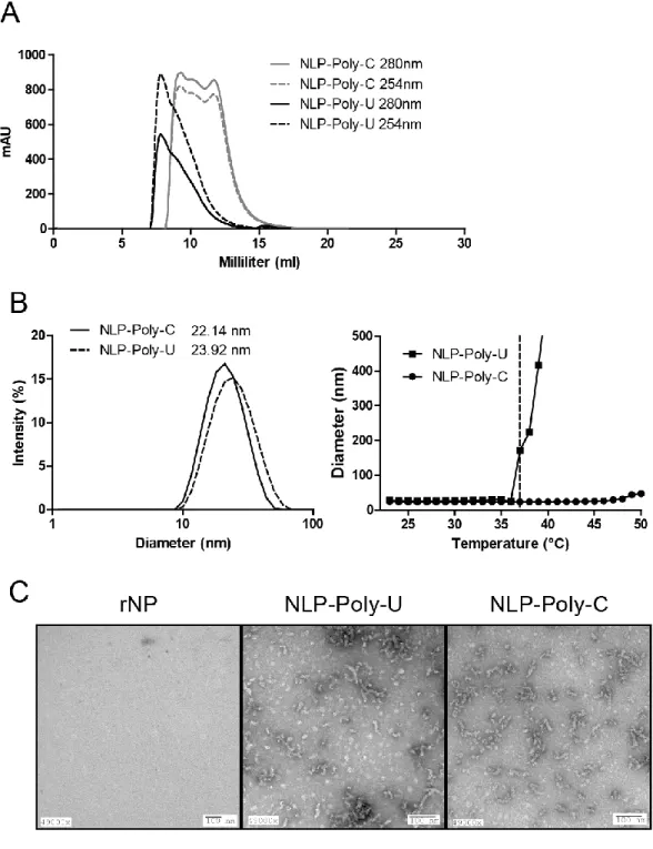 Figure 2-2 : Biochemical characterization of NLP-Poly-U and NLP-Poly-C  A. Elution profile of both NLPs on a Superdex 200 SEC column