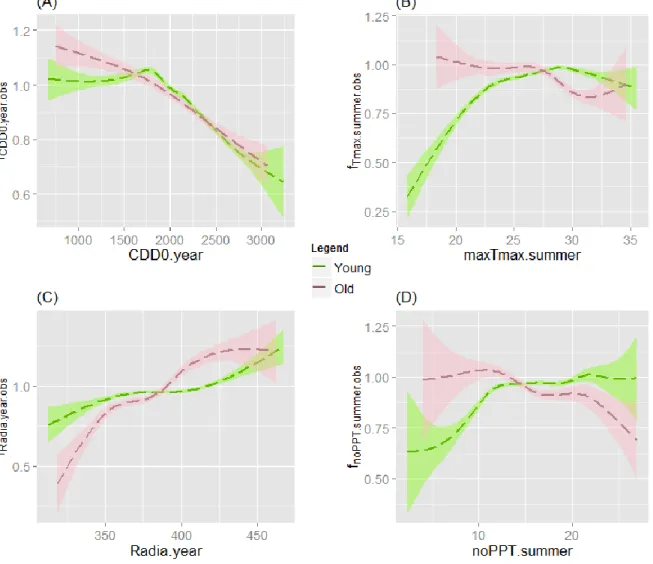 Figure 4: CDD0.year (A), maxTmax.summer (B), Radia.year (C) and noPPT.summer (D) adjusted  modifiers for PIM on age sub-databases
