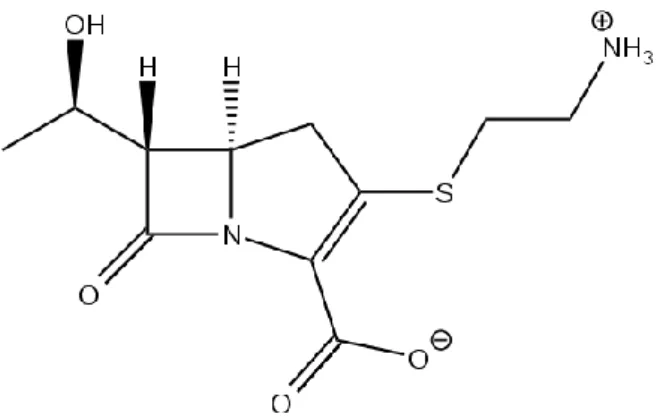 Figure 1 : Structure chimique de la thiénamycine 