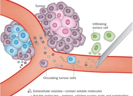 Figure 4 : Biomarqueurs circulants du cancer et concept de biopsie liquide  (Extrait de : Westphal et coll., Nat Rev Neurol, 2015) 