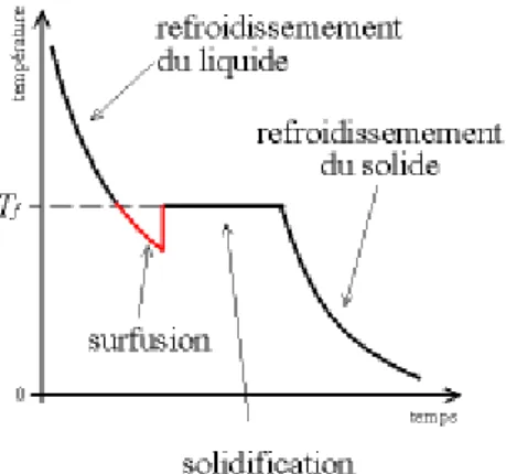 Figure 2 : Courbe de congélation de l’eau mettant en évidence l’état de surfusion d’après Lansac et  Guérif, 2005 (19)