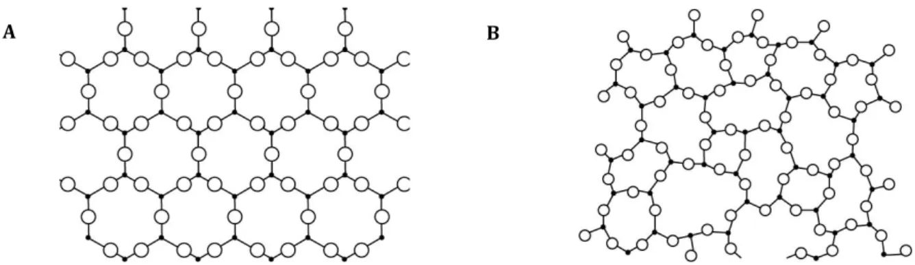 Figure 8: Représentation des arrangements moléculaires survenant au cours de la congélation lente  (A) et de la vitrification (B)