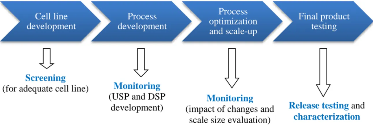 Figure 22: Glycosylation analysis at all stages of the product’s life cycle