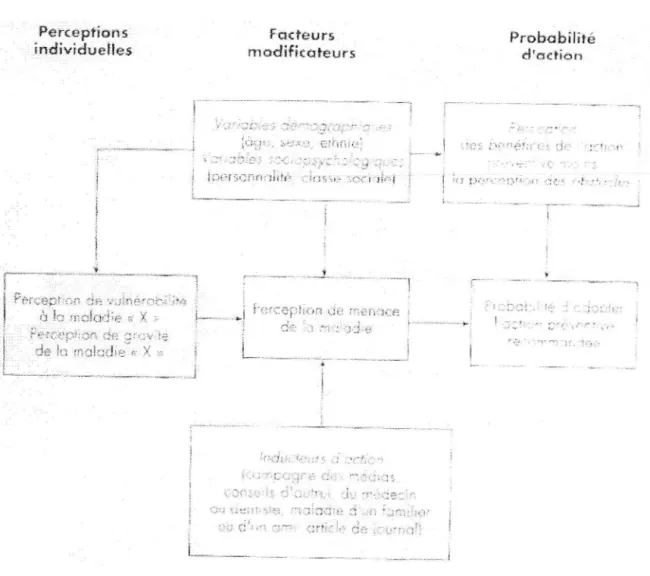 Figure 3: Les modèles de croyances sur la santé (10) 