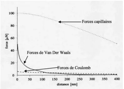 Figure 31 : Importance des différentes forces en fonction de la distance inter-particulaire,   d’après Podczeck, 1998 
