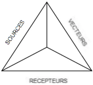 Figure 1 : Triangle de la contamination 