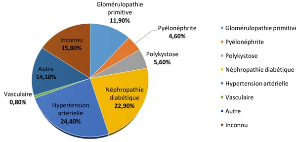 Figure 12 : Incidence (en %) des différentes néphropathies en 2016 (source : rapport REIN  2016) 