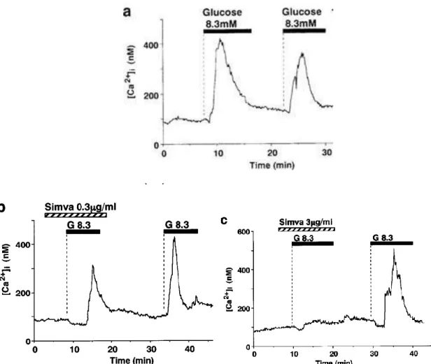 Figure  2.  Influx  calcique  induit  par  le  glucose  et  inhibition  de  cet  influx  par  la  simvastatine  dans  les  cellules  β  isolées