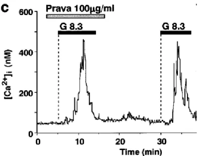Figure  3.  La  pravastatine  n’inhibe  pas  l’augmentation  de  la  concentration  intracellulaire  de  calcium  ([Ca² + ] i )  dans  les  cellules  β  du  pancréas  de  rat