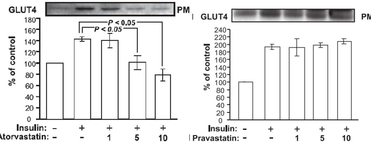 Figure  6.  Effets  de  la  pravastatine  et  de  l’atorvastatine  sur  l’expression  de  GLUT-4  au  niveau  de  la  membrane  plasmique  (PM)  après  exposition  des  adipocytes  3T3-L1  à  de  l’insuline