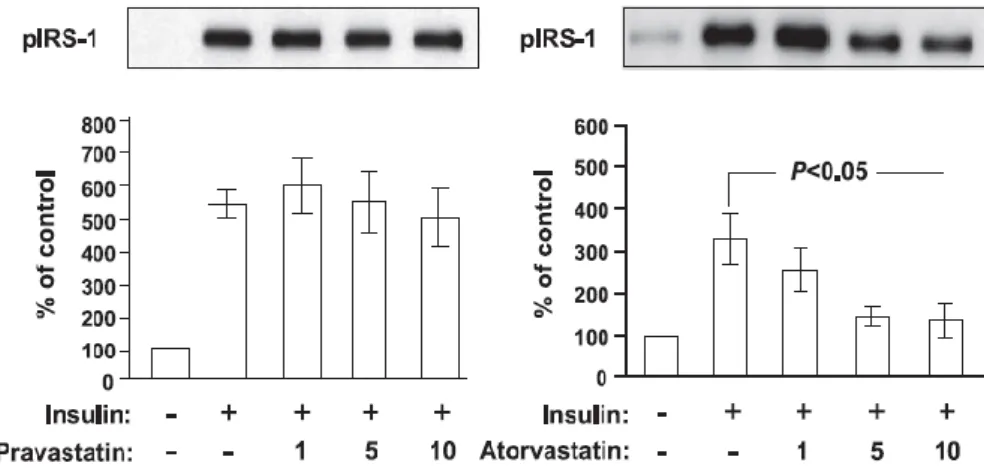 Figure  9.    Effets  de  la  pravastatine  et  de  l’atorvastatine  sur  la  phosphorylation  d’IRS-1  induite  par  l’insuline