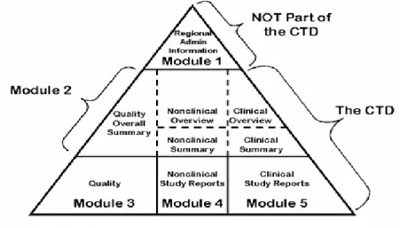 Figure 6 CTD Triangle 6