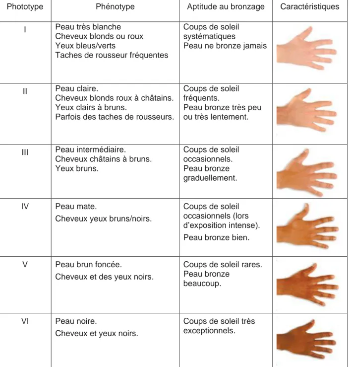 Tableau 1 : Les différents phototypes (5) (2) 
