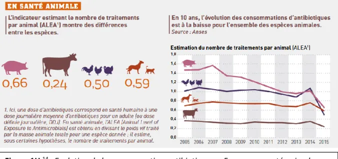 Figure 1H  14  : Evolution de la consommation antibiotique en France, en santé animale 