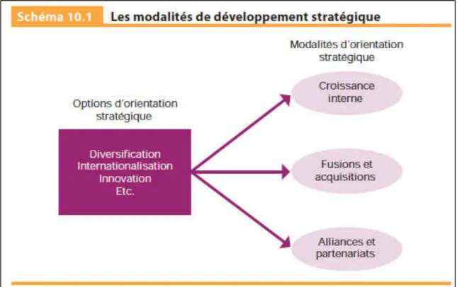 Figure 11 : Les modalités de développement stratégique 30
