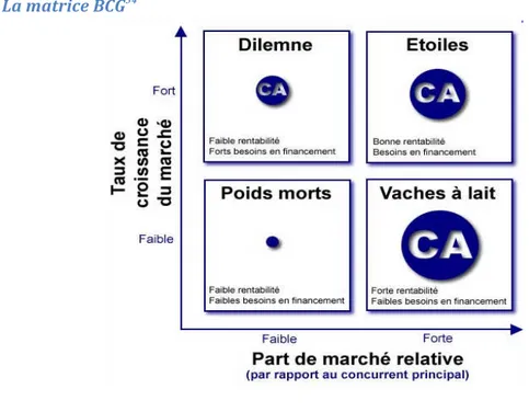 Figure 12 : La matrice BCG 