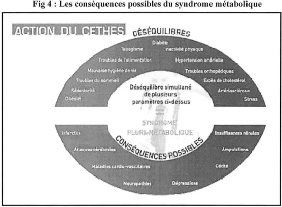 Fig 4 : Les conséquences possibles du  syndrome métabolique 