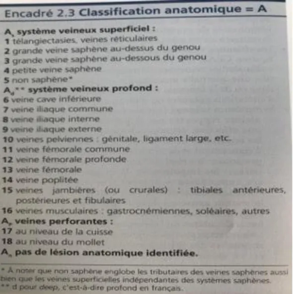 Figure 19 : Classification anatomique de la CEAP  