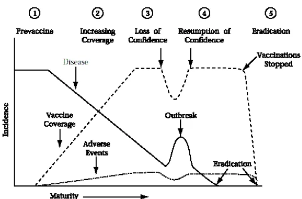 Figure 16 : Les différentes étapes afin d’éradiquer une maladie à prévention vaccinale ainsi que  l’effet  de  l’hésitation  vaccinale  sur  l’incidence  de  la  maladie  et  sur  le  taux  de  couverture  vaccinale (Chen et Hibbs 1998)